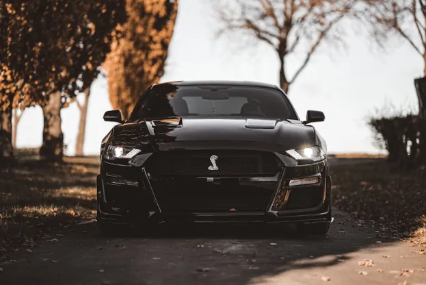 Ripper Kasino Android/iOS aplikace